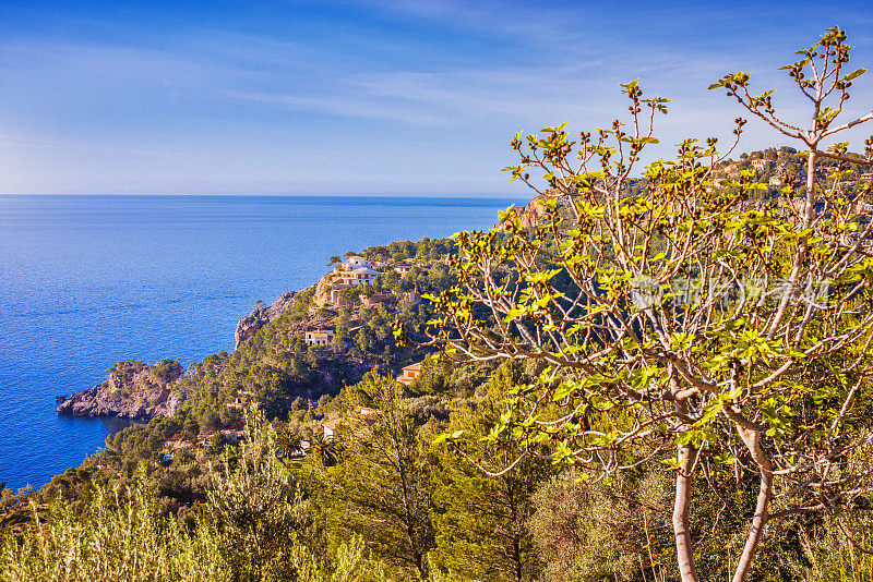 Cala Deia Costline(马略卡岛)